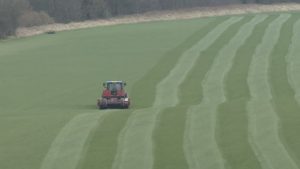 tractor, roller, silage, farming